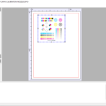 DTF Acrorip 11.2 Raw Software India no dongle RIP solution for DTF printing